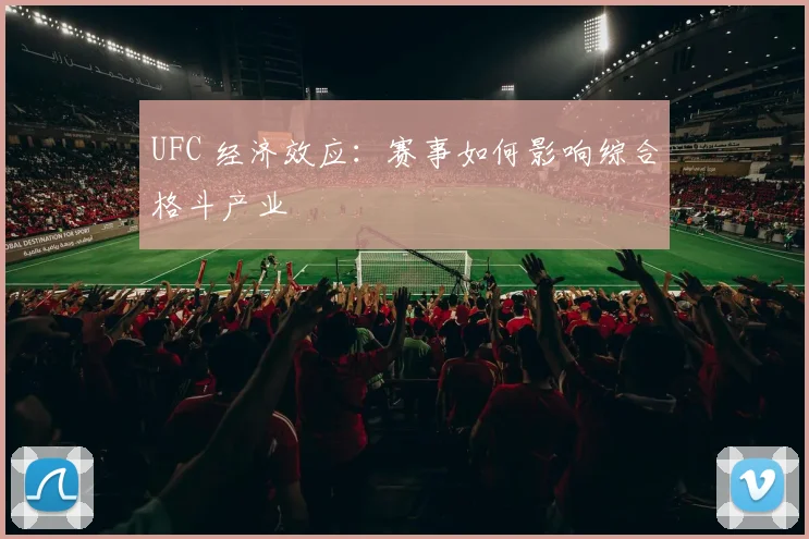 UFC 经济效应：赛事如何影响综合格斗产业