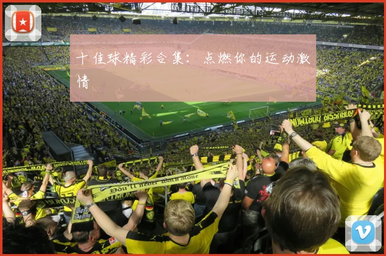 十佳球精彩合集：点燃你的运动激情